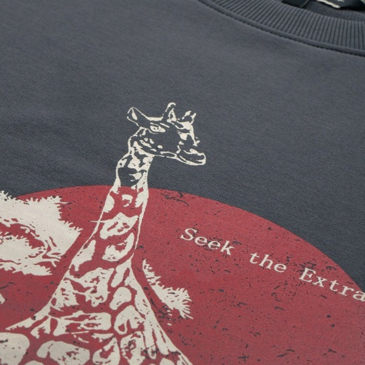 Combo of 2 Women's Cozy Sweatshirts | Stylish Winter Pack | SS-01