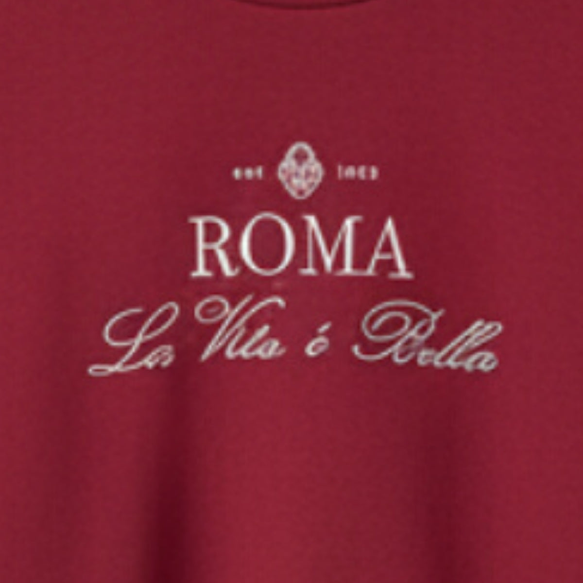 Women’s Sweatshirts | Warm & Stylish Ultimate Comfort, Endless Style| WS-16