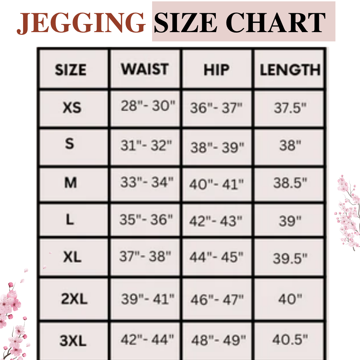 3-Pack Women's Jeggings Combo - Comfortable Stylish Bottoms | JC-05